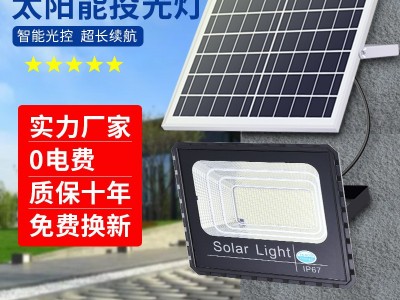 惠民款太阳能灯路灯超亮户外照明庭院灯新农村路灯投光灯厂家直销图2