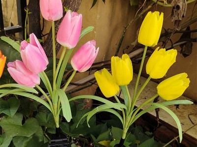led太阳能郁金香花灯发光仿真花灯新款5头郁金香草坪灯户外庭院灯图3