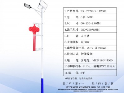 6米太阳能路灯4米防水中国结led路灯工程款农村一体化太阳 能路灯图4