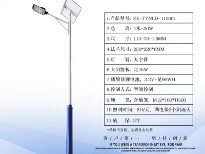 6米太阳能路灯4米防水中国结led路灯工程款农村一体化太阳 能路灯图3