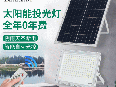 太阳能灯户外庭院灯批发农村200W双色太阳能投光灯防水草坪投光灯图3