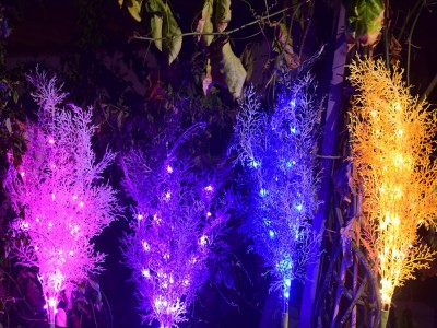 太阳能雾凇灯led迷雾灯新款led雾凇仿真花草坪灯新款庭院装饰花灯图1