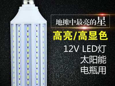 直流led灯泡DC12v玉米灯夜市电瓶灯太阳能路灯摆摊户外24伏低压灯图3