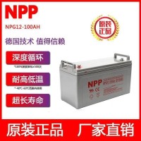 耐普太阳能胶体蓄电池12v100ah光伏发电200安65A电池ups房车路灯