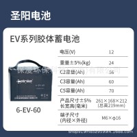 赛耐克蓄电池6-EV-60 动力蓄电池12V60AH 游艇运输车洗地机蓄电池