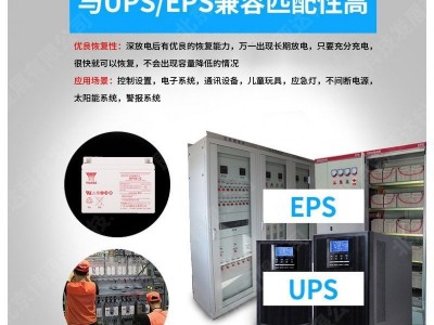 汤浅蓄电池NP24-12蓄电池12v铅酸电池机房配电柜ups应急电源图2