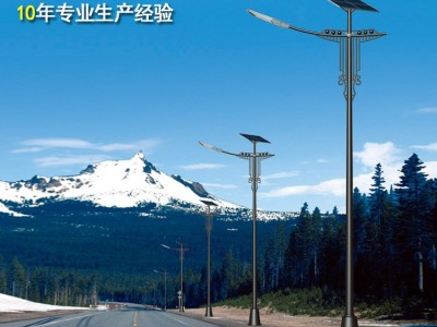 供应风光互补太阳能LED路灯 标杆体系路灯厂家直销 多规格可定制图3