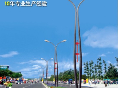 新农村建设太阳能路灯光伏省电6米全套LED路灯户外一体化厂家直销图2