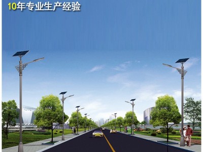 新农村建设太阳能路灯光伏省电6米全套LED路灯户外一体化厂家直销图5