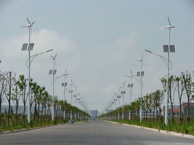 太阳能路灯生产厂家批发 风能太阳能路灯 太阳能路灯图5