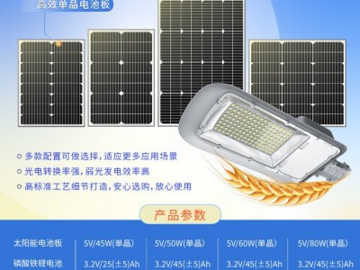 太阳能丰收灯 太阳能路灯 蓝晶易碳专利私模质保20年太阳能广场灯图3
