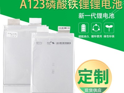 3.2V聚合物磷酸铁锂电池A123高倍率大容量电动车电瓶储能启停电芯图1