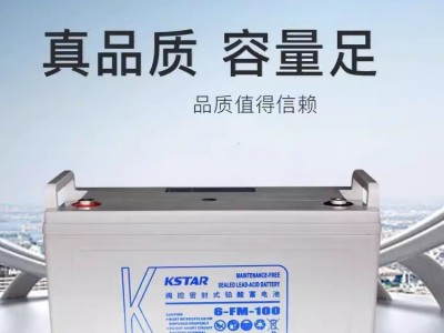 科士达蓄电池12V100AH/6-FM-100/24/38/65/120/150/200 UPS电源用图3