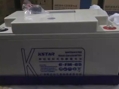 科士达蓄电池12V100AH/6-FM-100/24/38/65/120/150/200 UPS电源用图4