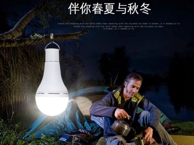 led应急灯泡太阳能灯充电小蛮腰户外照明灯庭院停电低压球泡批发图4