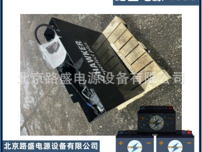 48V铅酸蓄电池8PzB440 海斯特叉车J1.50EX电池48V440Ah图1