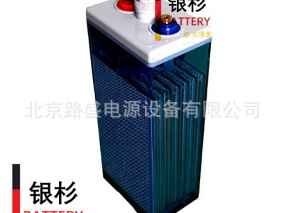 富液式OPzS蓄电池 工业固定电池 OPZS 湿式电池 电力储能蓄电池图1