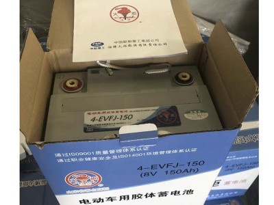 火炬动力蓄电池6-EVF-100/12V100AH观光车/洗地机/电动汽车专用图2