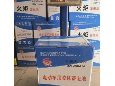 火炬动力蓄电池6-EVF-100/12V100AH观光车/洗地机/电动汽车专用图3