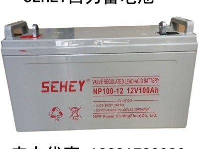 SEHEY西力铅酸蓄电池NP100-12西力 12V100AH 直流屏机房U PS电源图3