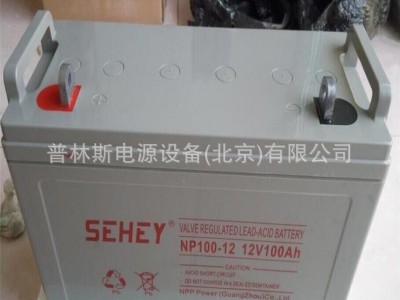 SEHEY西力铅酸蓄电池NP100-12西力 12V100AH 直流屏机房U PS电源图4