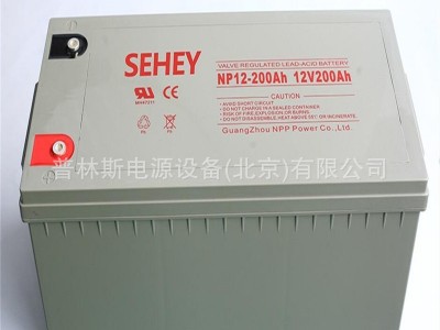 SEHEY西力铅酸蓄电池NP100-12西力 12V100AH 直流屏机房U PS电源图2